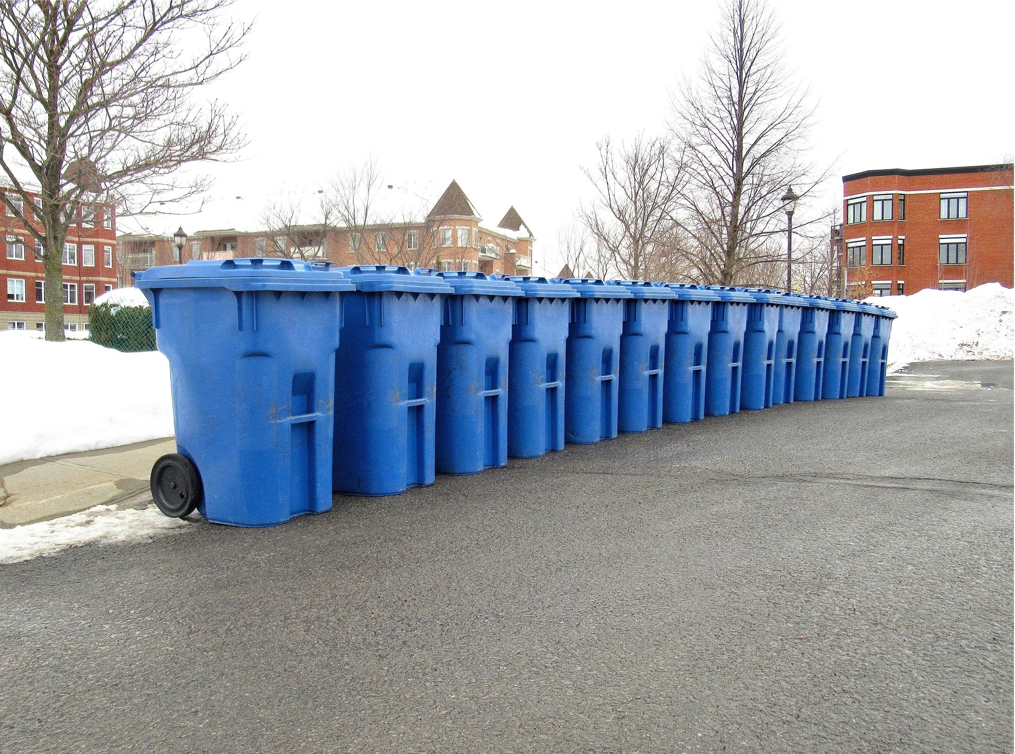 Mixed recycling bins lined up outside a commercial building