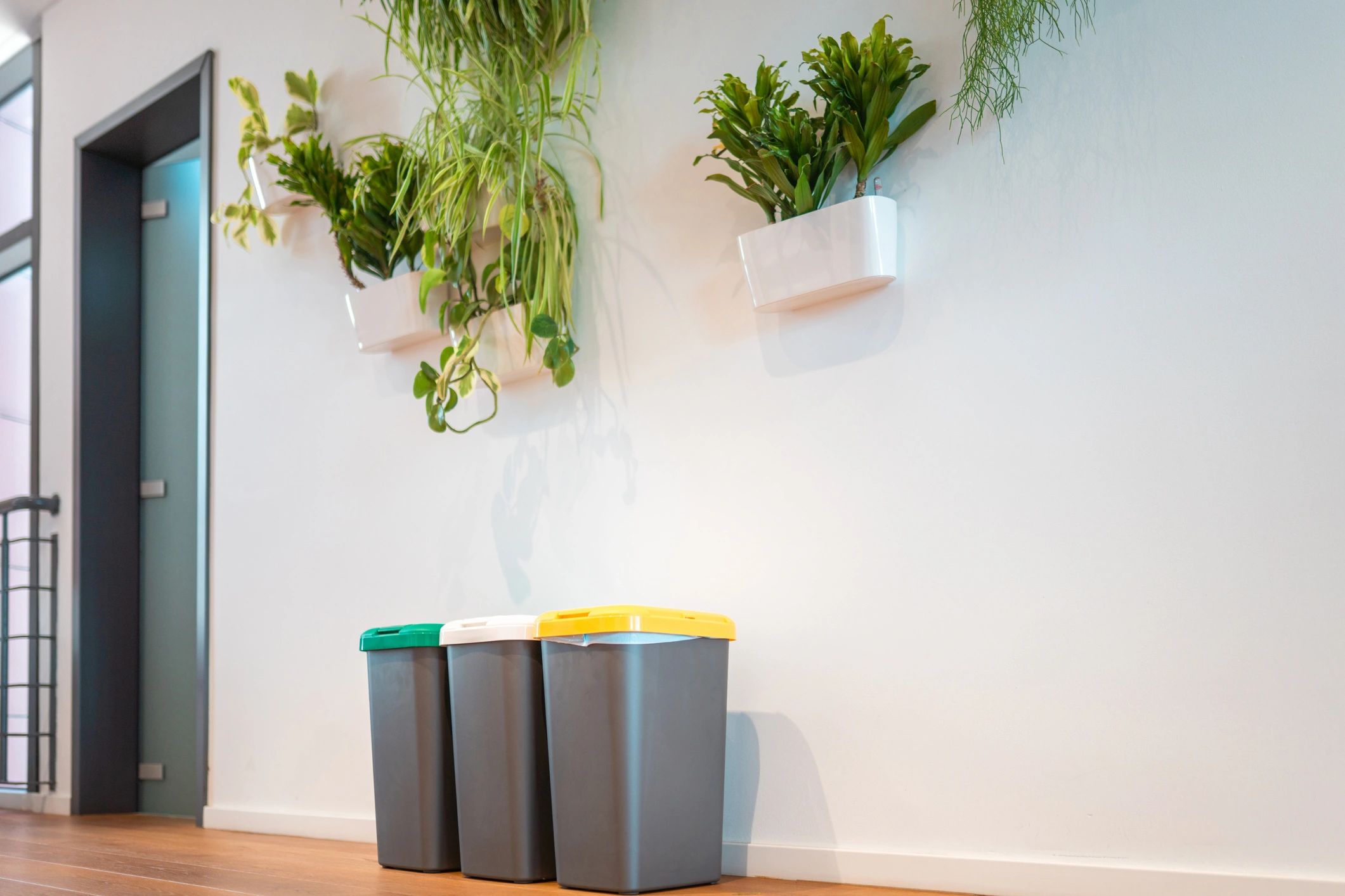 Modern office recycling station with labeled bins and plants
