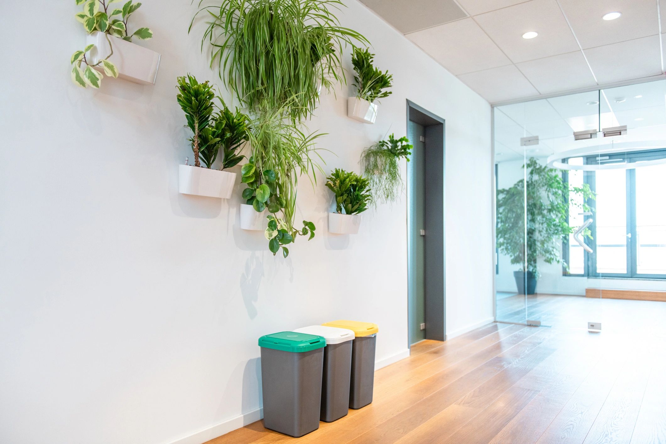 Modern office recycling station with greenery